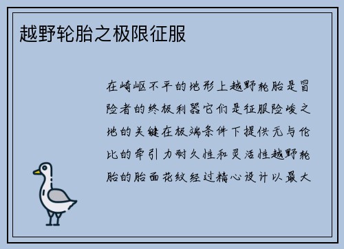 越野轮胎之极限征服